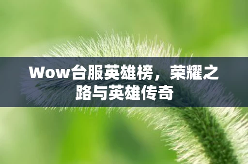 荣耀之路与英雄传奇图片