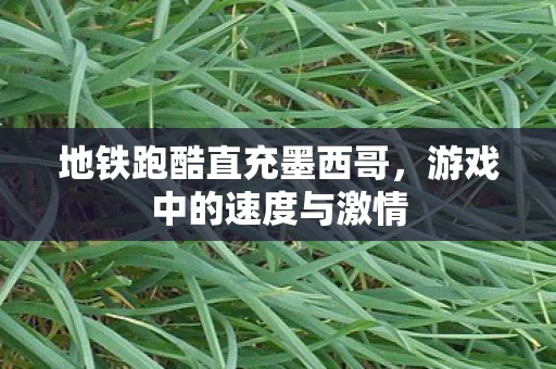 地铁跑酷直充墨西哥图片