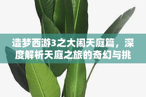 深度解析天庭之旅的奇幻与挑战图片