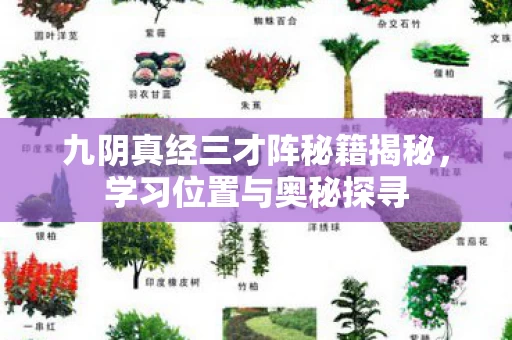 九阴真经三才阵秘籍揭秘图片