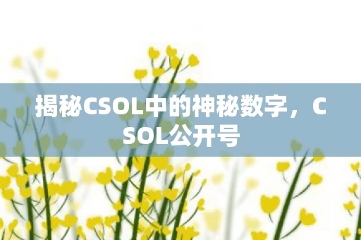 揭秘CSOL中的神秘数字图片
