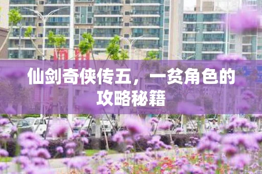 一贫角色的攻略秘籍图片