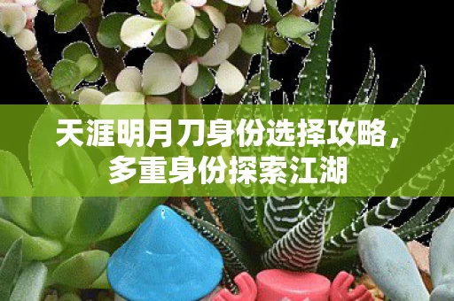 天涯明月刀身份选择攻略图片