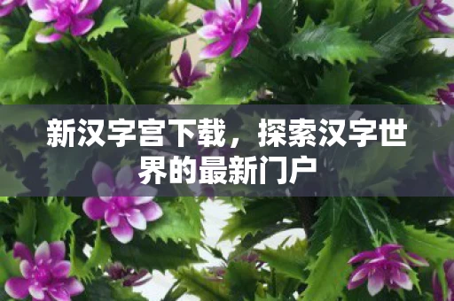 探索汉字世界的最新门户图片