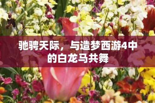与造梦西游4中的白龙马共舞图片