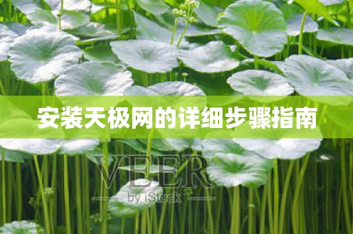 安装天极网的详细步骤指南图片