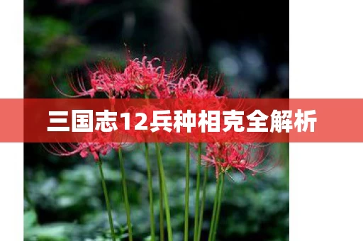 三国志12兵种相克全解析图片