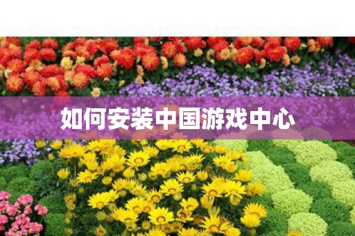 如何安装中国游戏中心图片