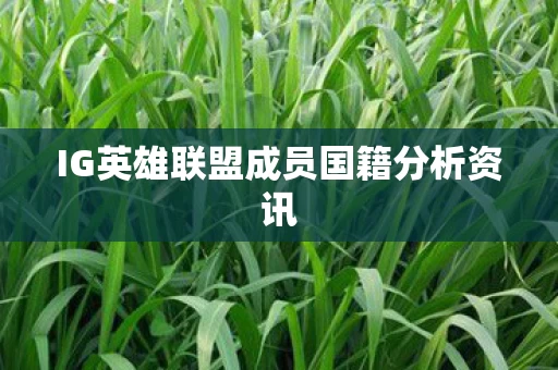 IG英雄联盟成员国籍分析资讯图片