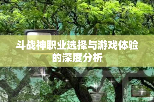 斗战神职业选择与游戏体验的深度分析图片