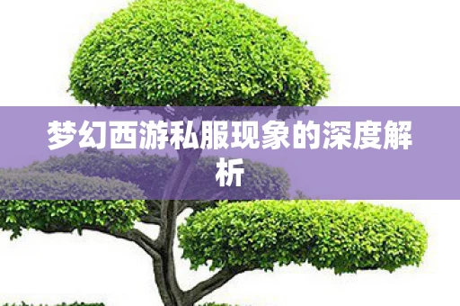 梦幻西游私服现象的深度解析图片