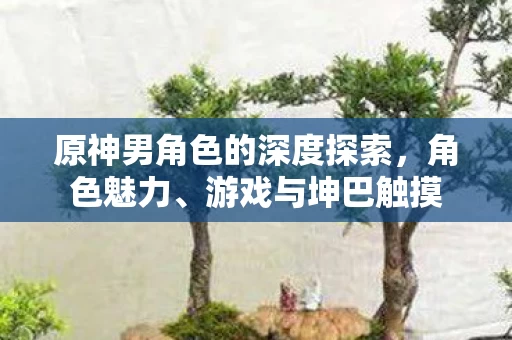 原神男角色的深度探索图片