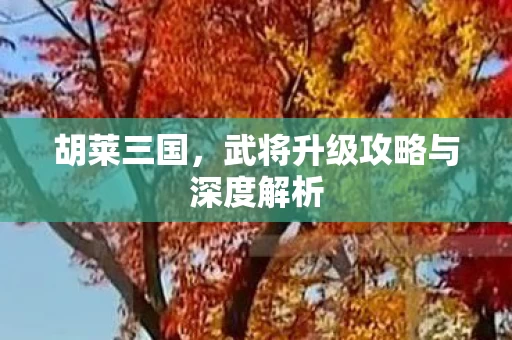 武将升级攻略与深度解析图片