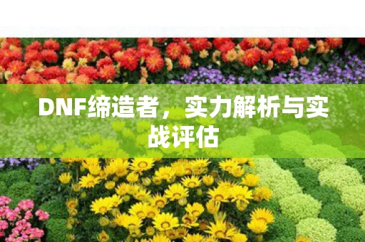 实力解析与实战评估图片