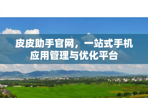 一站式手机应用管理与优化平台图片