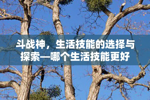 生活技能的选择与探索图片