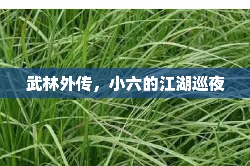 小六的江湖巡夜图片