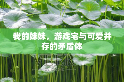 游戏宅与可爱并存的矛盾体图片