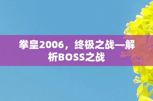 解析BOSS之战图片