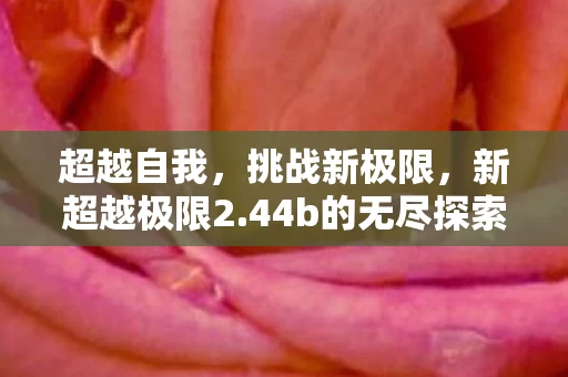 44b的无尽探索之旅图片