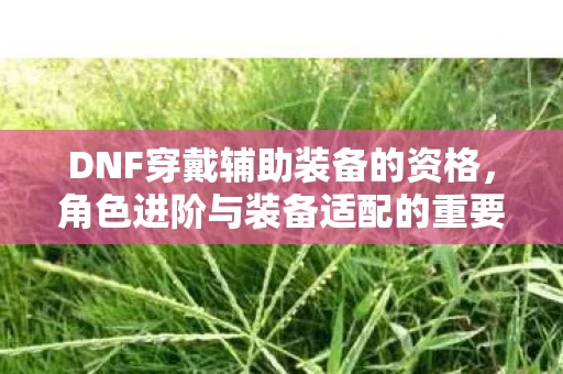 角色进阶与装备适配的重要性图片
