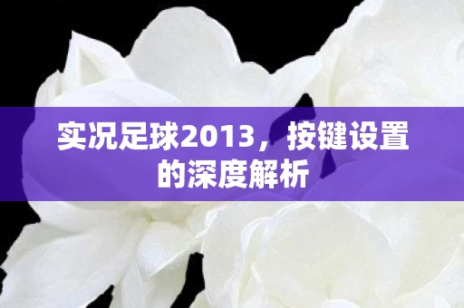 按键设置的深度解析图片
