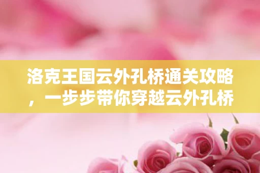 洛克王国云外孔桥通关攻略图片