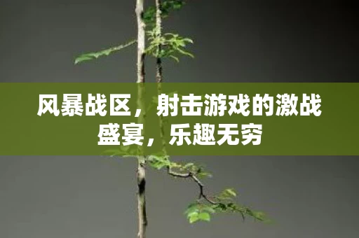 射击游戏的激战盛宴图片