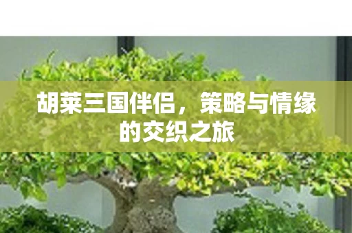 策略与情缘的交织之旅图片