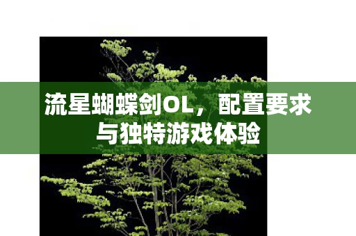 配置要求与独特游戏体验图片
