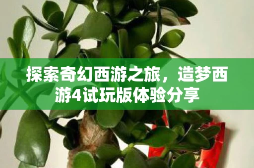 造梦西游4试玩版体验分享图片