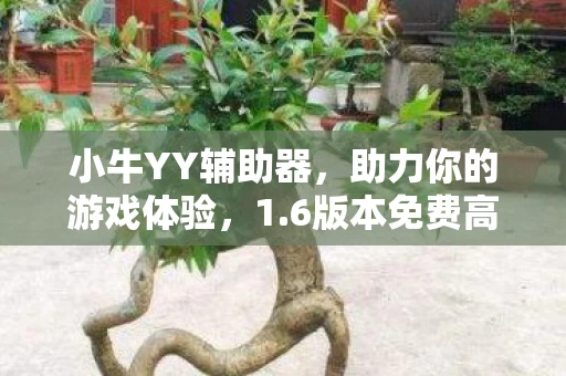 6版本免费高速下载图片