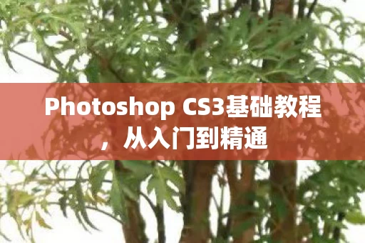 Photoshop CS3基础教程图片