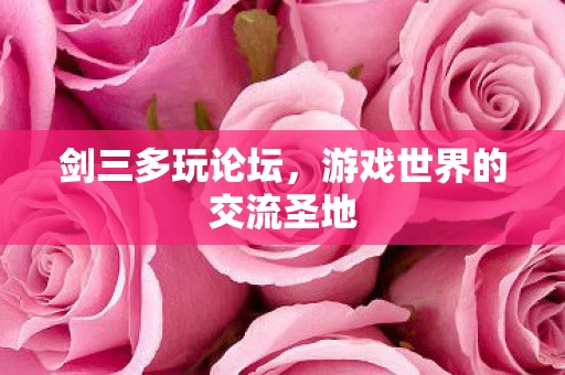 游戏世界的交流圣地图片