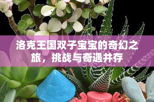 洛克王国双子宝宝的奇幻之旅图片