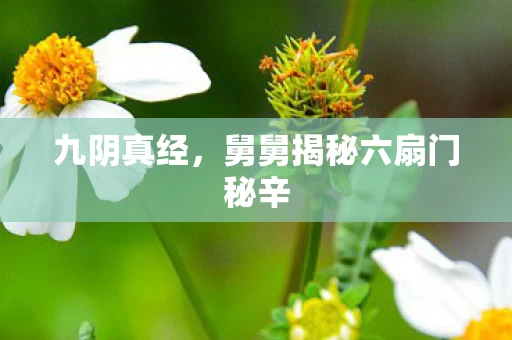 舅舅揭秘六扇门秘辛图片