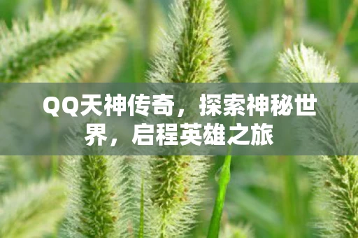 QQ天神传奇图片