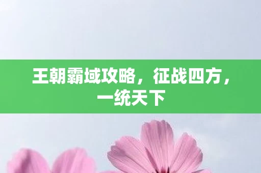 王朝霸域攻略图片