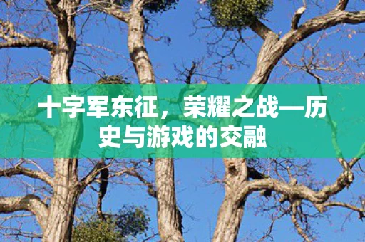 历史与游戏的交融图片