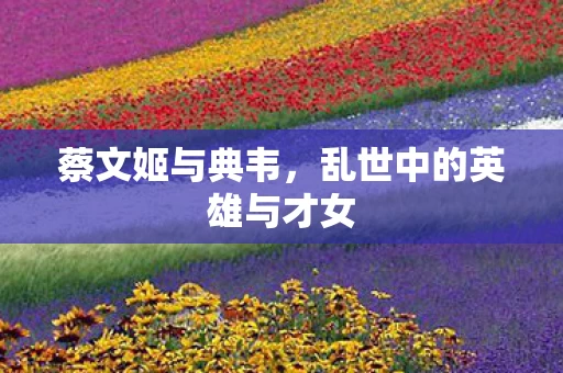 乱世中的英雄与才女图片