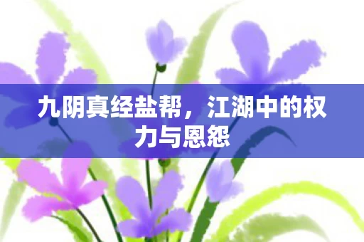 江湖中的权力与恩怨图片