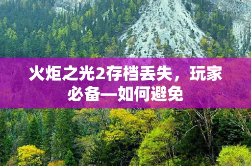 火炬之光2存档丢失图片