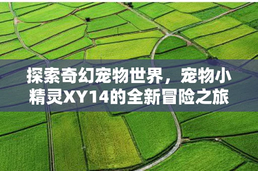 宠物小精灵XY14的全新冒险之旅图片