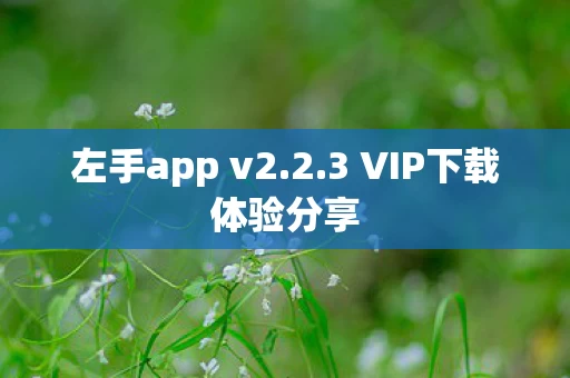 3 VIP下载体验分享图片