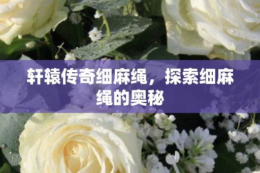 探索细麻绳的奥秘图片
