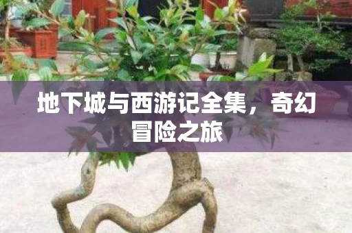 地下城与西游记全集图片