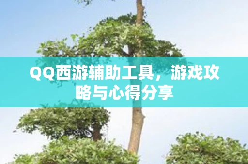 游戏攻略与心得分享图片