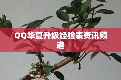 QQ华夏升级经验表资讯频道图片