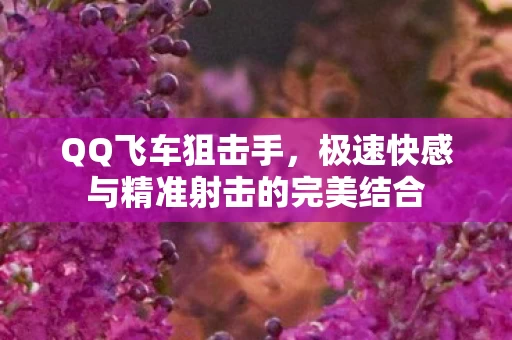 极速快感与精准射击的完美结合图片