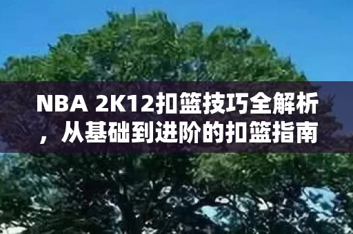 NBA 2K12扣篮技巧全解析图片